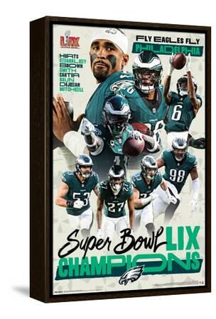 2018 Super Bowl LII (Minnesota) Posters Pennants Flags - Patriots Vs E - Foto 8
