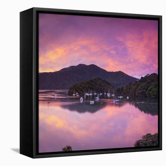 Ngakuta Bay, Queen Charlotte Sound, Marlborough Sounds, South Island, New Zealand-Doug Pearson-Framed Stretched Canvas