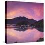 Ngakuta Bay, Queen Charlotte Sound, Marlborough Sounds, South Island, New Zealand-Doug Pearson-Stretched Canvas