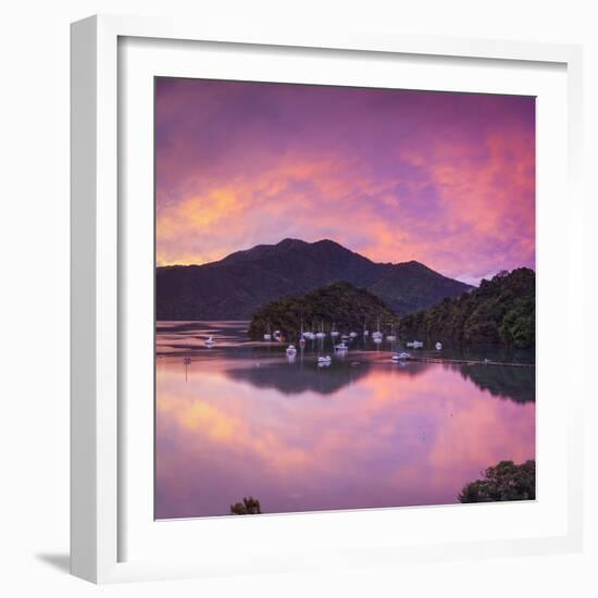 Ngakuta Bay, Queen Charlotte Sound, Marlborough Sounds, South Island, New Zealand-Doug Pearson-Framed Photographic Print