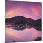 Ngakuta Bay, Queen Charlotte Sound, Marlborough Sounds, South Island, New Zealand-Doug Pearson-Mounted Photographic Print