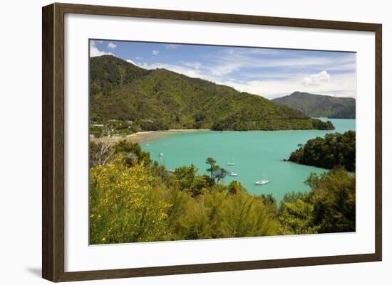 Ngakuta Bay, Queen Charlotte Sound, Near Picton-Stuart Black-Framed Photographic Print