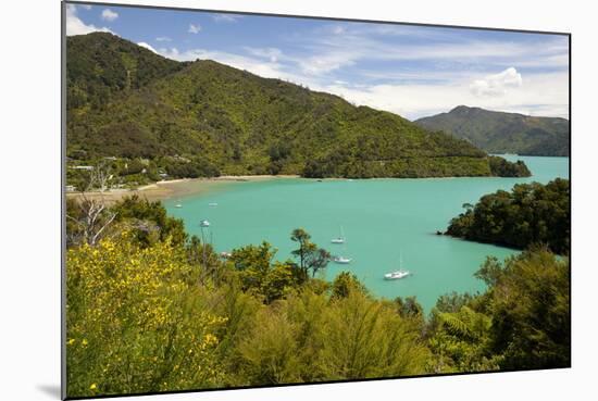 Ngakuta Bay, Queen Charlotte Sound, Near Picton-Stuart Black-Mounted Photographic Print