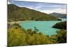 Ngakuta Bay, Queen Charlotte Sound, Near Picton-Stuart Black-Mounted Photographic Print