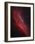 Ngc 1499, the California Nebula-Stocktrek Images-Framed Photographic Print
