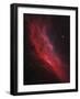 Ngc 1499, the California Nebula-Stocktrek Images-Framed Photographic Print