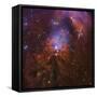 Ngc 1999, Bright Reflection Nebula in Orion-null-Framed Stretched Canvas