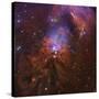 Ngc 1999, Bright Reflection Nebula in Orion-null-Stretched Canvas