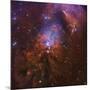 Ngc 1999, Bright Reflection Nebula in Orion-null-Mounted Photographic Print