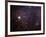 NGC 1999 Is a Dust Filled Bright Nebula-Stocktrek Images-Framed Photographic Print