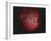 Ngc 2174, the Monkey Head Nebula with Ic 2159 Nebulosity-null-Framed Photographic Print