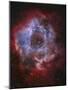 Ngc 2237, the Rosette Nebula-Stocktrek Images-Mounted Photographic Print