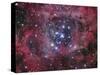 NGC 2244-Stocktrek Images-Stretched Canvas