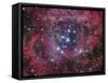 NGC 2244-Stocktrek Images-Framed Stretched Canvas