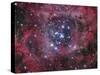 NGC 2244-Stocktrek Images-Stretched Canvas