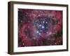 NGC 2244-Stocktrek Images-Framed Photographic Print