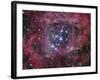 NGC 2244-Stocktrek Images-Framed Photographic Print