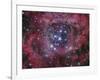 NGC 2244-Stocktrek Images-Framed Photographic Print