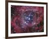 NGC 2244-Stocktrek Images-Framed Photographic Print