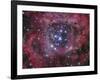 NGC 2244-Stocktrek Images-Framed Photographic Print