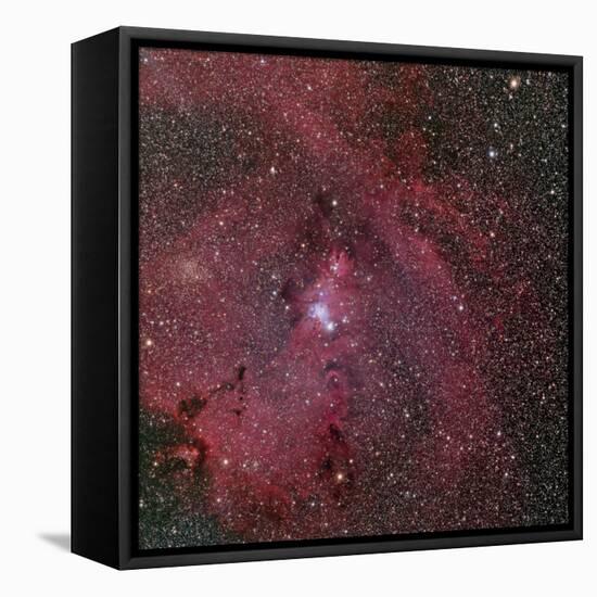 NGC 2264, the Cone and Christmas Tree Nebula-Stocktrek Images-Framed Stretched Canvas