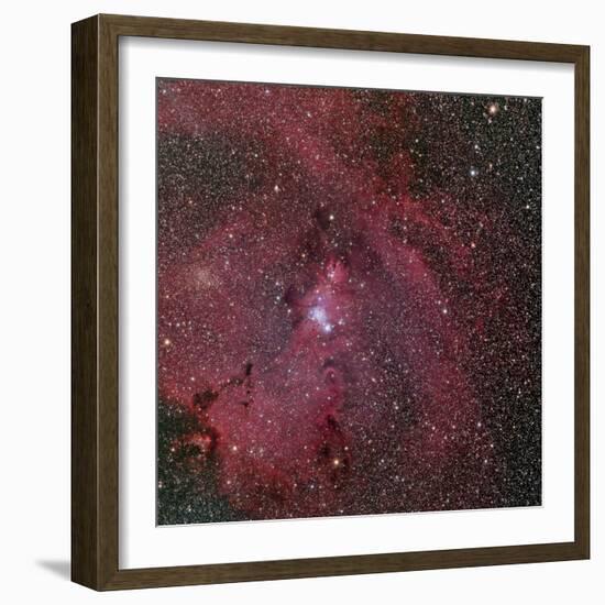 NGC 2264, the Cone and Christmas Tree Nebula-Stocktrek Images-Framed Photographic Print