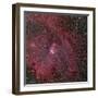 NGC 2264, the Cone and Christmas Tree Nebula-Stocktrek Images-Framed Photographic Print