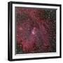 NGC 2264, the Cone and Christmas Tree Nebula-Stocktrek Images-Framed Photographic Print