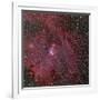 NGC 2264, the Cone and Christmas Tree Nebula-Stocktrek Images-Framed Photographic Print