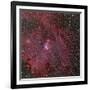 NGC 2264, the Cone and Christmas Tree Nebula-Stocktrek Images-Framed Photographic Print