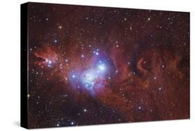 Ngc 2264, the Cone Nebula Region-null-Stretched Canvas