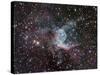 NGC 2359, Thor's Helmet in Canis Major-Stocktrek Images-Stretched Canvas