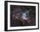 NGC 2359, Thor's Helmet in Canis Major-Stocktrek Images-Framed Premium Photographic Print