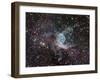 NGC 2359, Thor's Helmet in Canis Major-Stocktrek Images-Framed Photographic Print