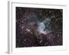 NGC 2359, Thor's Helmet in Canis Major-Stocktrek Images-Framed Photographic Print