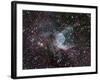 NGC 2359, Thor's Helmet in Canis Major-Stocktrek Images-Framed Photographic Print