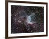 NGC 2359, Thor's Helmet in Canis Major-Stocktrek Images-Framed Photographic Print