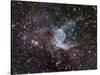 NGC 2359, Thor's Helmet in Canis Major-Stocktrek Images-Stretched Canvas