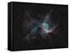 Ngc 2359, Thor's Helmet-null-Framed Stretched Canvas