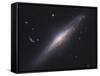 Ngc 2683, Spiral Galaxy in Lynx-null-Framed Stretched Canvas