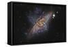 Ngc 3314, a Pair of Overlapping Spiral Galaxies-null-Framed Stretched Canvas