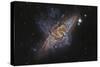 Ngc 3314, a Pair of Overlapping Spiral Galaxies-null-Stretched Canvas