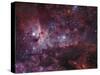 NGC 3372, the Eta Carinae Nebula-Stocktrek Images-Stretched Canvas