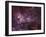 NGC 3372, the Eta Carinae Nebula-Stocktrek Images-Framed Premium Photographic Print