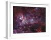 NGC 3372, the Eta Carinae Nebula-Stocktrek Images-Framed Premium Photographic Print