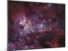 NGC 3372, the Eta Carinae Nebula-Stocktrek Images-Mounted Premium Photographic Print