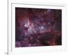 NGC 3372, the Eta Carinae Nebula-Stocktrek Images-Framed Premium Photographic Print