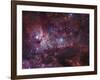 NGC 3372, the Eta Carinae Nebula-Stocktrek Images-Framed Premium Photographic Print