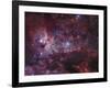 NGC 3372, the Eta Carinae Nebula-Stocktrek Images-Framed Premium Photographic Print