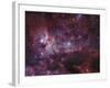 NGC 3372, the Eta Carinae Nebula-Stocktrek Images-Framed Photographic Print